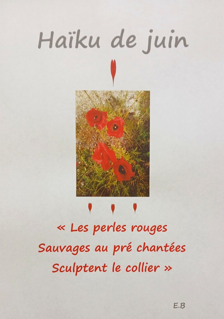 Les perles rouges sauvages au pré chantée sculptent le collier
