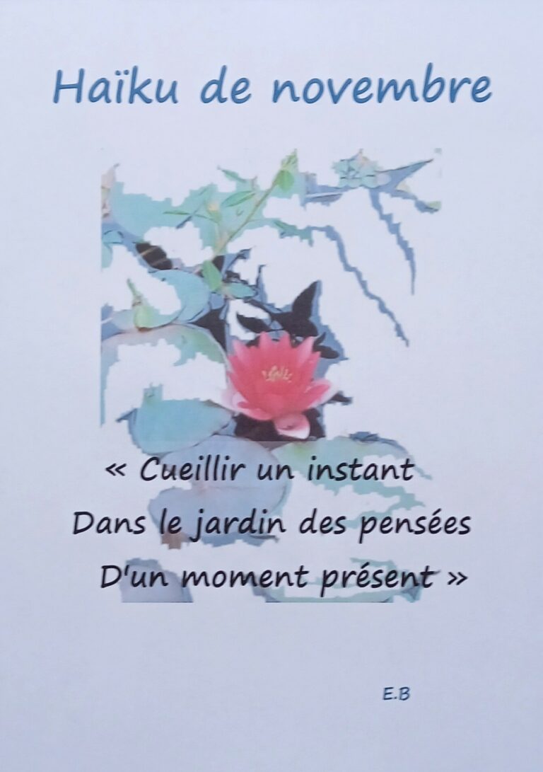 Haiku Novembre